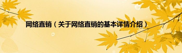 网络直销（关于网络直销的基本详情介绍）