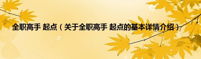 全职高手 起点（关于全职高手 起点的基本详情介绍）