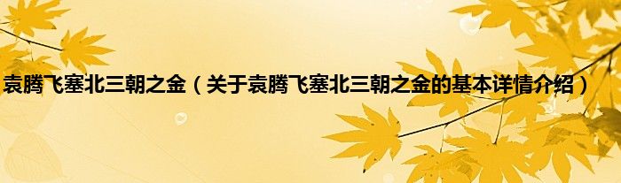 袁腾飞塞北三朝之金（关于袁腾飞塞北三朝之金的基本详情介绍）