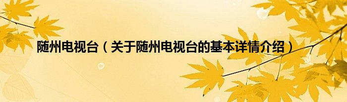 随州电视台（关于随州电视台的基本详情介绍）
