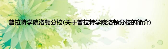 普拉特学院洛顿分校(关于普拉特学院洛顿分校的简介)